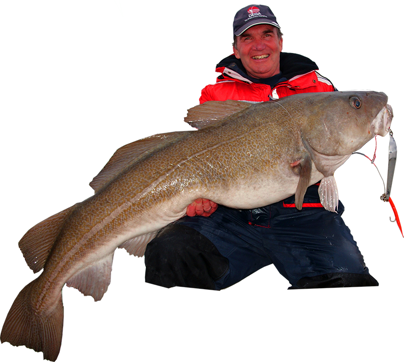 Island 2013 Kapitaler Dorsch & Heilbutt eat, sleep, go fishing