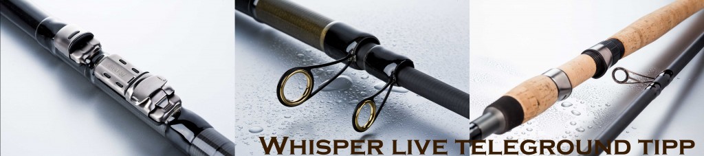 Whisper Live Teleground Tipp - fast schon eine Stellfischrute